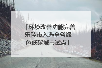 环境改善功能完善 乐陵市入选全省绿色低碳城市试点