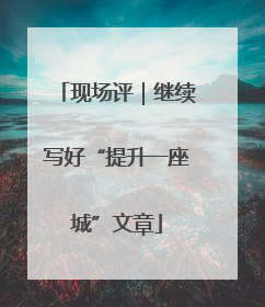 现场评｜继续写好“提升一座城”文章