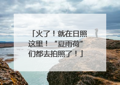 火了！就在日照这里！“夏雨荷”们都去拍照了！