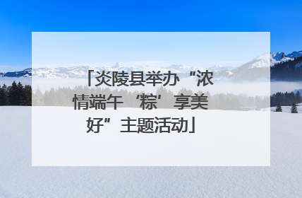 炎陵县举办“浓情端午‘粽’享美好”主题活动