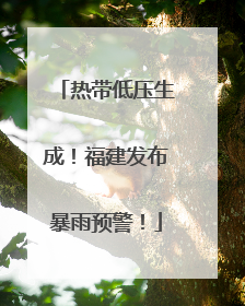 热带低压生成！福建发布暴雨预警！
