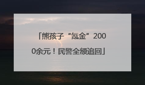 熊孩子“氪金”2000余元！民警全额追回