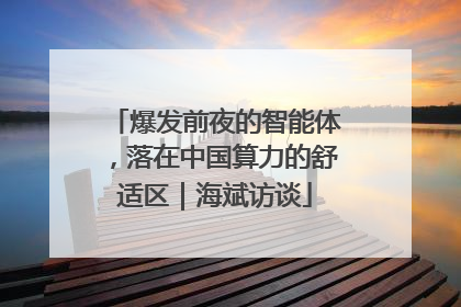爆发前夜的智能体，落在中国算力的舒适区｜海斌访谈