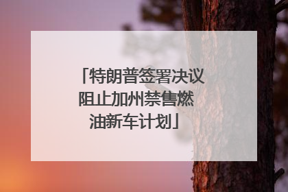 特朗普签署决议 阻止加州禁售燃油新车计划