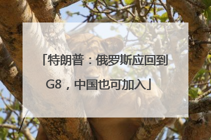 特朗普：俄罗斯应回到G8，中国也可加入
