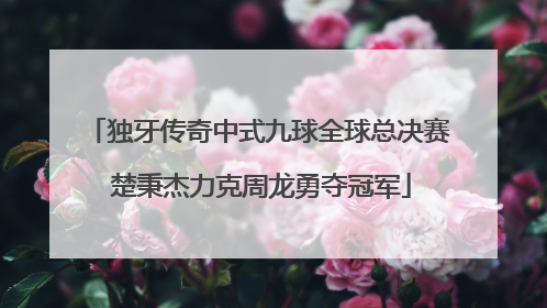 独牙传奇中式九球全球总决赛 楚秉杰力克周龙勇夺冠军