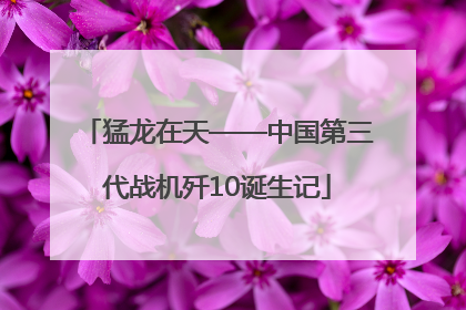 猛龙在天——中国第三代战机歼10诞生记