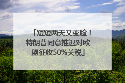 短短两天又变脸！特朗普同意推迟对欧盟征收50%关税
