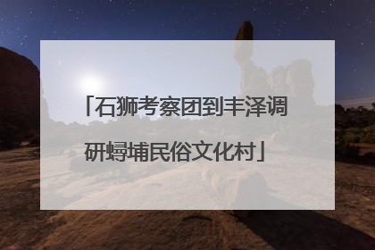 石狮考察团到丰泽调研蟳埔民俗文化村