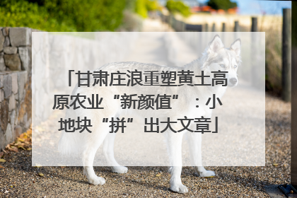 甘肃庄浪重塑黄土高原农业“新颜值”：小地块“拼”出大文章