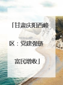 甘肃庆阳西峰区：党建强链 富民增收