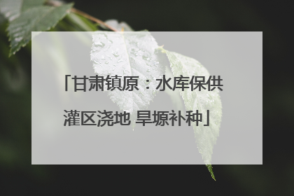 甘肃镇原：水库保供 灌区浇地 旱塬补种