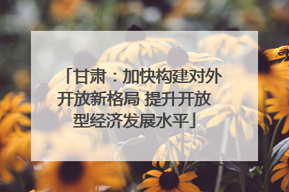 甘肃：加快构建对外开放新格局 提升开放型经济发展水平