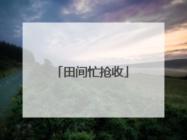 田间忙抢收