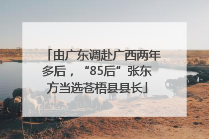 由广东调赴广西两年多后，“85后”张东方当选苍梧县县长