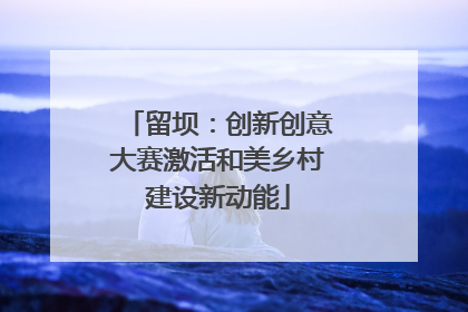 留坝：创新创意大赛激活和美乡村建设新动能