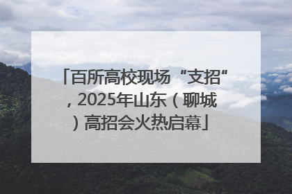 百所高校现场“支招”，2025年山东（聊城）高招会火热启幕