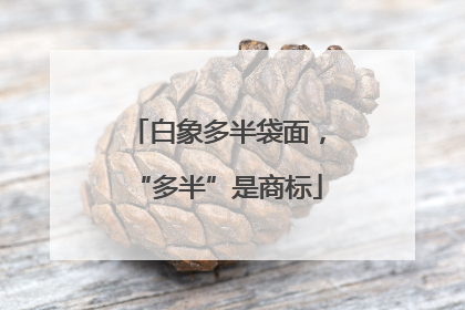 白象多半袋面，“多半”是商标