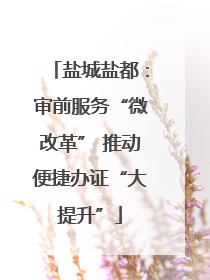 盐城盐都：审前服务“微改革” 推动便捷办证“大提升”