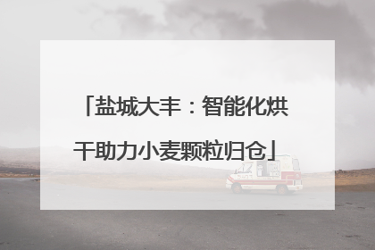 盐城大丰：智能化烘干助力小麦颗粒归仓