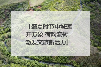 盛夏时节申城莲开万象 荷韵流转激发文旅新活力