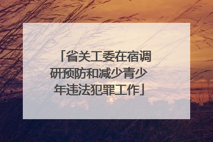 省关工委在宿调研预防和减少青少年违法犯罪工作
