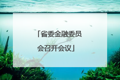 省委金融委员会召开会议