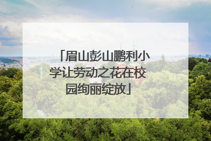 眉山彭山鹏利小学让劳动之花在校园绚丽绽放