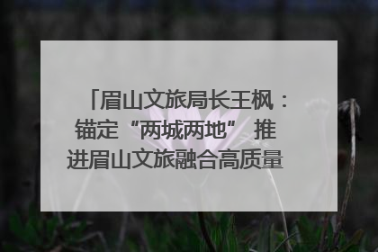 眉山文旅局长王枫：锚定“两城两地” 推进眉山文旅融合高质量发展｜文旅局长说