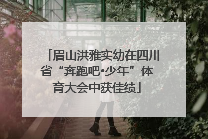 眉山洪雅实幼在四川省“奔跑吧•少年”体育大会中获佳绩