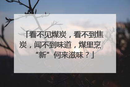 看不见煤炭，看不到焦炭，闻不到味道，煤里烹“新”何来滋味？