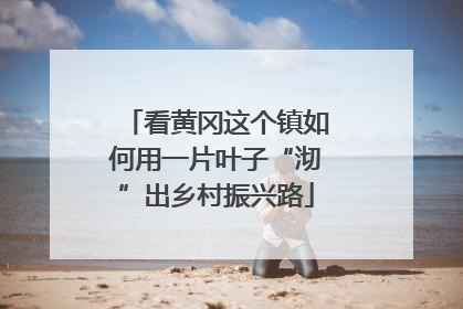 看黄冈这个镇如何用一片叶子“沏”出乡村振兴路