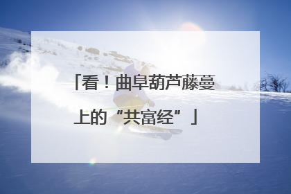 看！曲阜葫芦藤蔓上的“共富经”