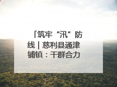筑牢“汛”防线｜慈利县通津铺镇：干群合力抗击洪灾
