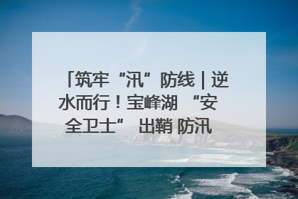 筑牢“汛”防线｜逆水而行！宝峰湖 “安全卫士” 出鞘 防汛应急再添硬核力量