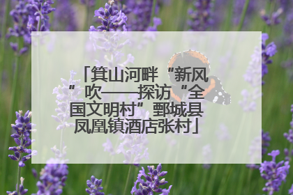 箕山河畔“新风”吹——探访“全国文明村”鄄城县凤凰镇酒店张村