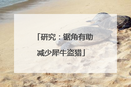 研究：锯角有助减少犀牛盗猎