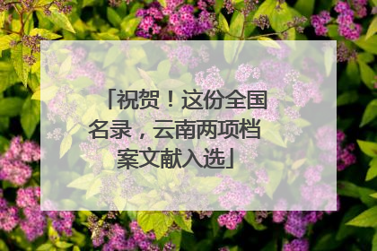 祝贺！这份全国名录，云南两项档案文献入选