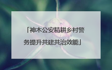 神木公安精耕乡村警务提升共建共治效能