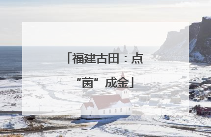 福建古田：点“菌”成金