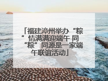 福建漳州举办“粽”情满满迎端午 同“粽”同源是一家端午联谊活动