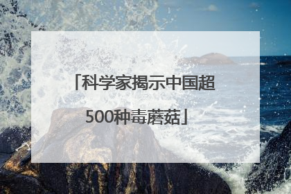 科学家揭示中国超500种毒蘑菇
