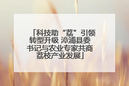科技助“荔”引领转型升级 漳浦县委书记与农业专家共商荔枝产业发展