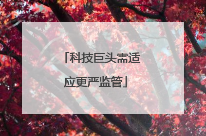 科技巨头需适应更严监管