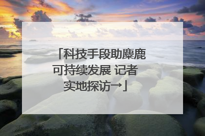 科技手段助麋鹿可持续发展 记者实地探访→