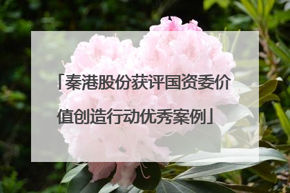 秦港股份获评国资委价值创造行动优秀案例