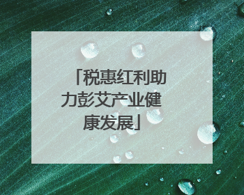 税惠红利助力彭艾产业健康发展