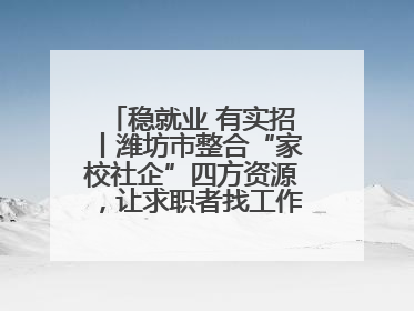 稳就业 有实招丨潍坊市整合“家校社企”四方资源，让求职者找工作不孤单