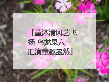 童沐清风艺飞扬 乌龙泉六一汇演童趣盎然