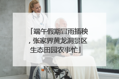 端午假期冒雨插秧，张家界黄龙洞景区生态田园农事忙